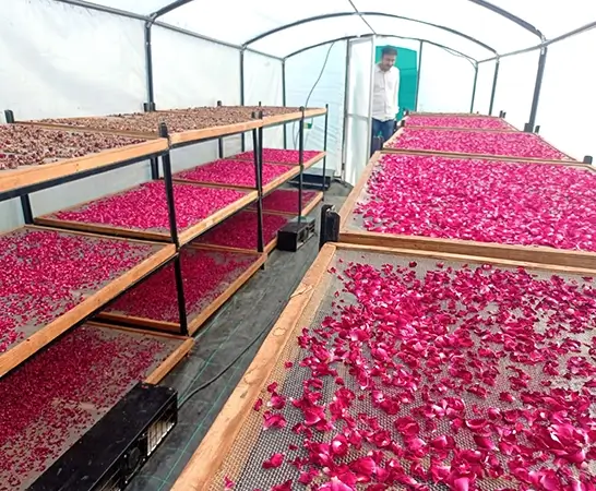 Clean, controlled process