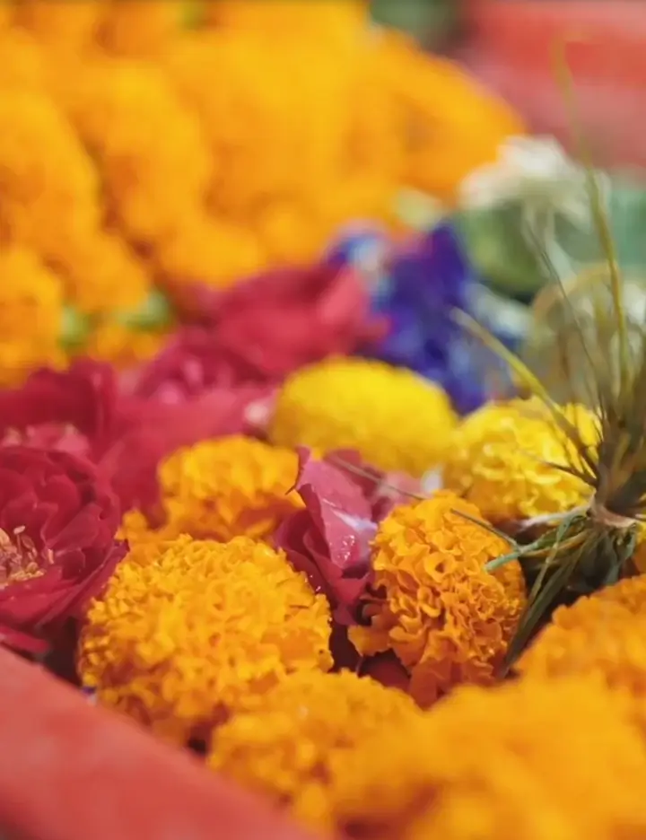 Sacred flowers collected